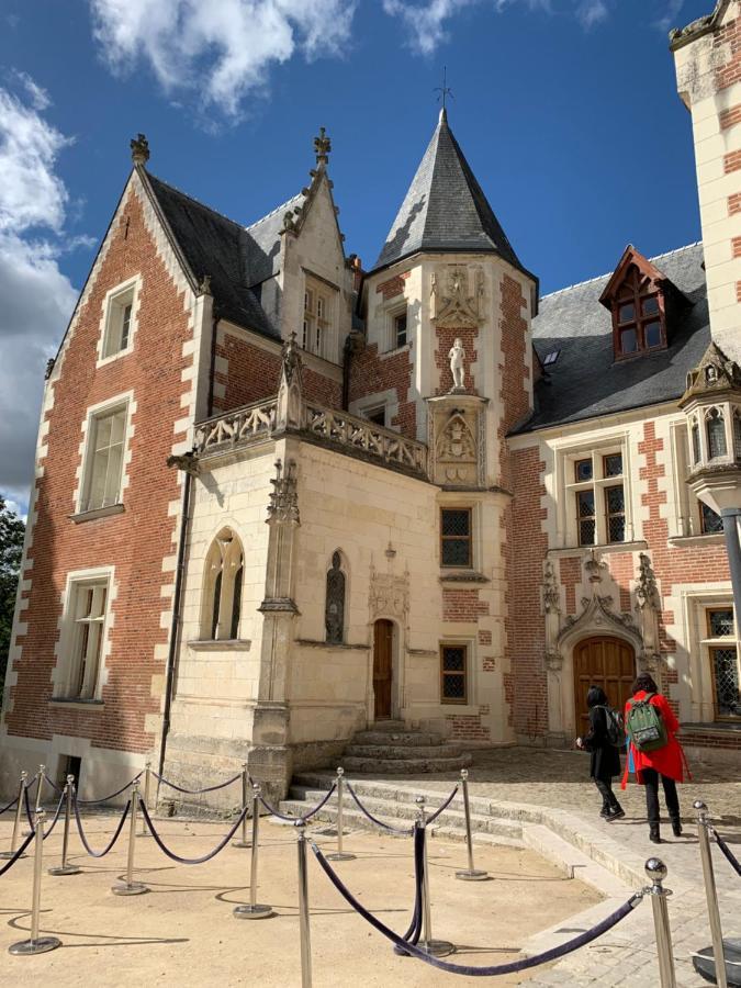 Au Coeur Des Chateaux Chambon-sur-Cisse 外观 照片