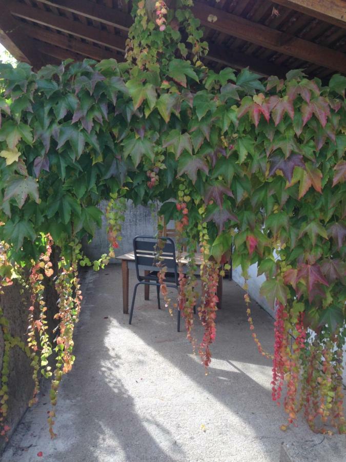 Au Coeur Des Chateaux Chambon-sur-Cisse 外观 照片