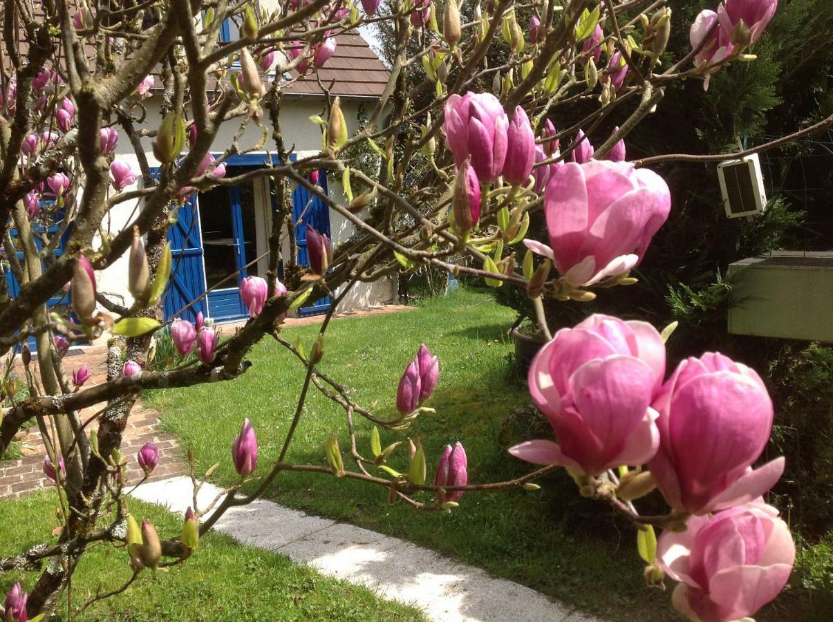 Au Coeur Des Chateaux Chambon-sur-Cisse 外观 照片